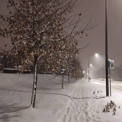 Zima w Rudzie Śląskiej - Czytelnicy