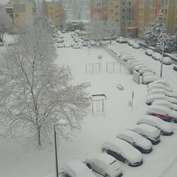 Zima w Rudzie Śląskiej - Czytelnicy