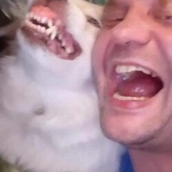 Konkurs walentynkowy