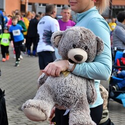 Bieg Wiewiórki