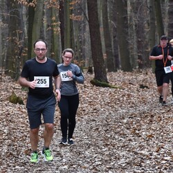 Bieg Wiewiórki
