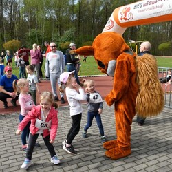 2. Bieg Wiewiórki 2024