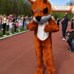 2. Bieg Wiewiórki 2024