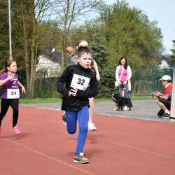 2. Bieg Wiewiórki 2024