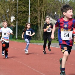 2. Bieg Wiewiórki 2024