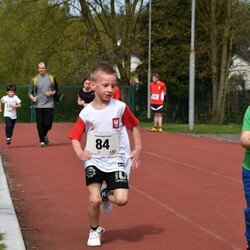 2. Bieg Wiewiórki 2024