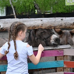 Bańkowy Piknik Rodzinny