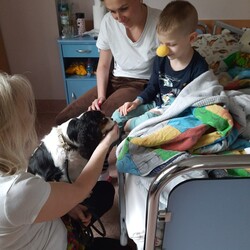 Dogoterapia w rudzkim szpitalu