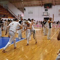 Festiwal Kultury Brazylijskiej