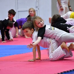 Festiwal Kultury Brazylijskiej