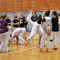 Festiwal Kultury Brazylijskiej