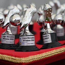 Podsumowanie Ligi Skrzatów i Żaków