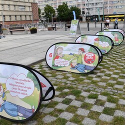 Strefa Bezpieczeństwa Compensy