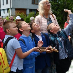 Tydzień Godności Osób z Niepełnosprawnościami