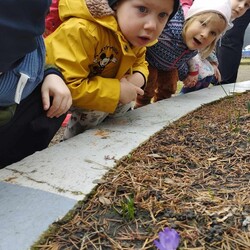 Marcowe i kwietniowe przygody w Miejskim Przedszkolu nr 32