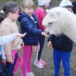 Marcowe i kwietniowe przygody w Miejskim Przedszkolu nr 32