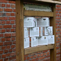 Ekopracownia w ZSP nr 3