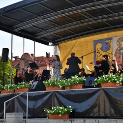 Dni Rudy Śląskiej - Święto Herbu