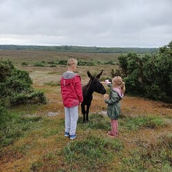 Jak mieszkańcy Rudy Śląskiej spędzają wakacje?