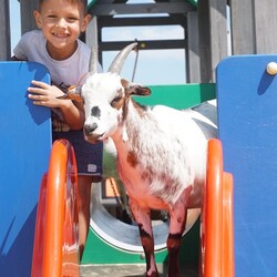 Jak mieszkańcy Rudy Śląskiej spędzają wakacje?