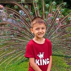 Jak mieszkańcy Rudy Śląskiej spędzają wakacje?