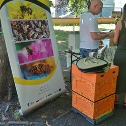 Czwarty Ogród Śniadaniowy 2024