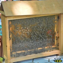 Czwarty Ogród Śniadaniowy 2024