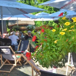 Czwarty Ogród Śniadaniowy 2024