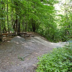 Bielszowice Trails