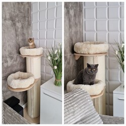 Międzynarodowy Dzień Kota