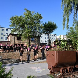 Ruda Śląska po raz kolejny bierze udział w akcji WORK it OUT