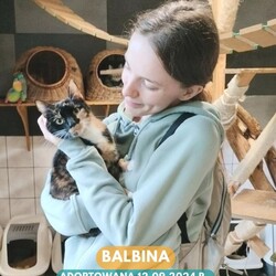 Rekordowy tydzień adopcji w Faunie