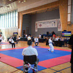 IX Puchar Śląska Dzieci i Młodzieży Karate Kyokushin