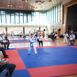 IX Puchar Śląska Dzieci i Młodzieży Karate Kyokushin