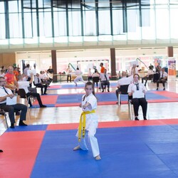 IX Puchar Śląska Dzieci i Młodzieży Karate Kyokushin