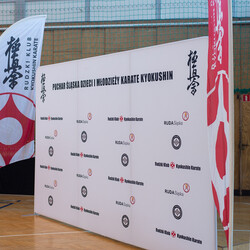 IX Puchar Śląska Dzieci i Młodzieży Karate Kyokushin