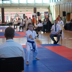 IX Puchar Śląska Dzieci i Młodzieży Karate Kyokushin