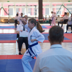 IX Puchar Śląska Dzieci i Młodzieży Karate Kyokushin