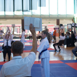 IX Puchar Śląska Dzieci i Młodzieży Karate Kyokushin