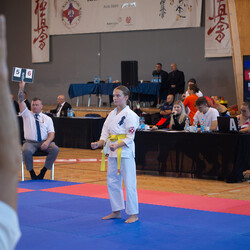 IX Puchar Śląska Dzieci i Młodzieży Karate Kyokushin