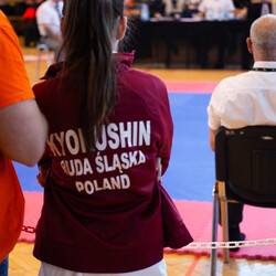 IX Puchar Śląska Dzieci i Młodzieży Karate Kyokushin