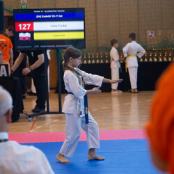 IX Puchar Śląska Dzieci i Młodzieży Karate Kyokushin