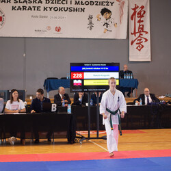 IX Puchar Śląska Dzieci i Młodzieży Karate Kyokushin