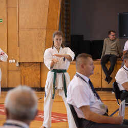 IX Puchar Śląska Dzieci i Młodzieży Karate Kyokushin