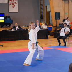 IX Puchar Śląska Dzieci i Młodzieży Karate Kyokushin