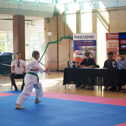 IX Puchar Śląska Dzieci i Młodzieży Karate Kyokushin