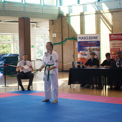 IX Puchar Śląska Dzieci i Młodzieży Karate Kyokushin