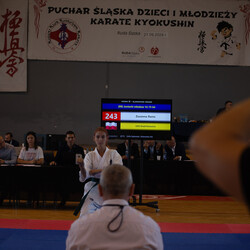IX Puchar Śląska Dzieci i Młodzieży Karate Kyokushin