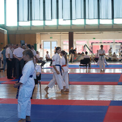 IX Puchar Śląska Dzieci i Młodzieży Karate Kyokushin