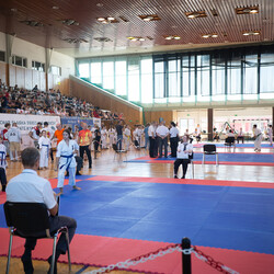 IX Puchar Śląska Dzieci i Młodzieży Karate Kyokushin